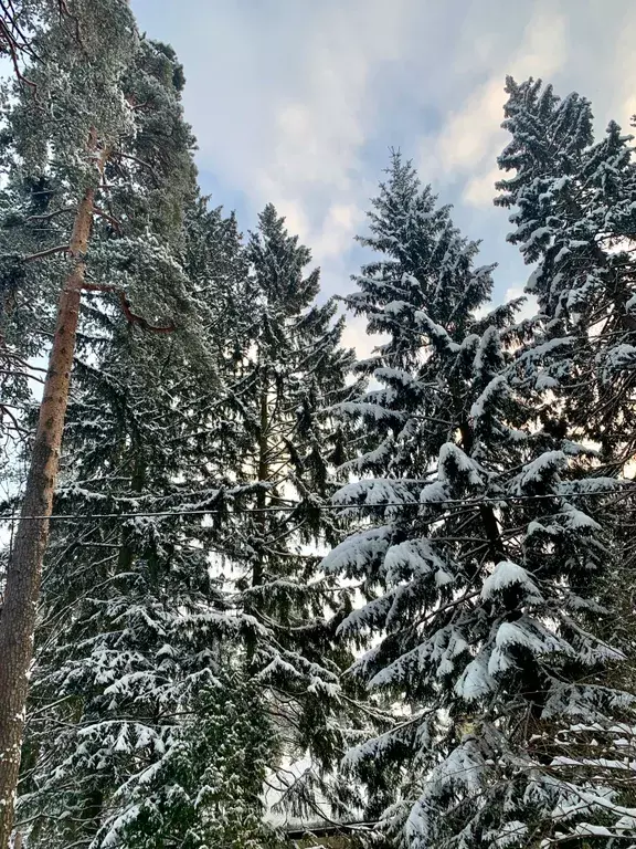 дом городской округ Раменский п Кратово ул Чайковского 7 Раменское фото 19