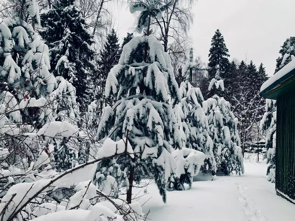 дом городской округ Раменский п Кратово ул Чайковского 7 Раменское фото 20