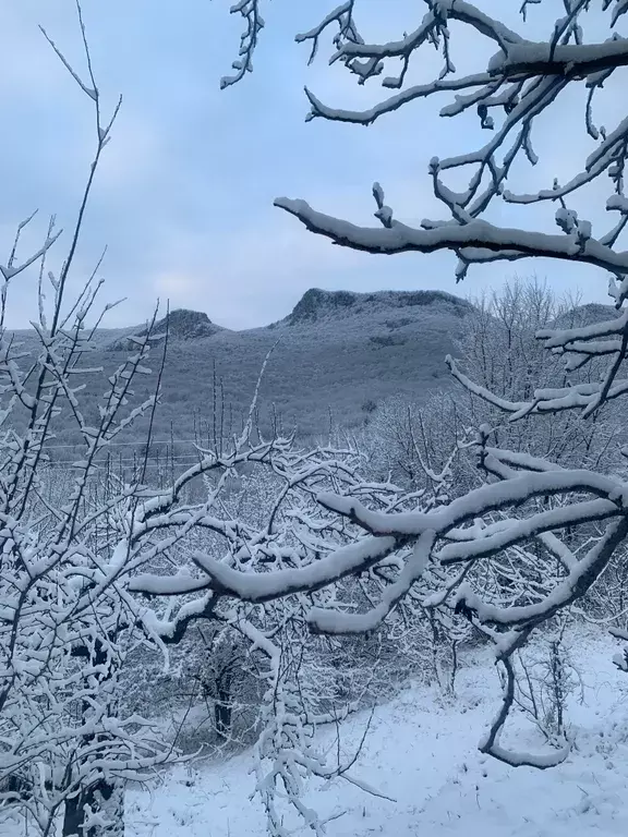 дом р-н Бахчисарайский с Многоречье ул Сосновая 15 фото 26