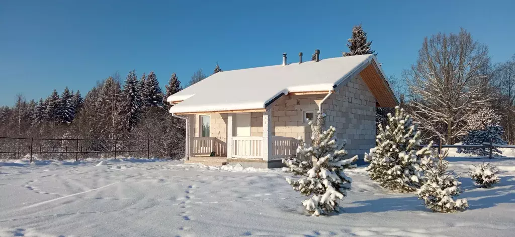 дом р-н Торопецкий д Подгороднее ул Озерная 4 Торопец фото 13