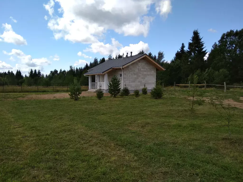 дом р-н Торопецкий д Подгороднее ул Озерная 4 Торопец фото 14