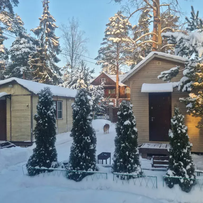 дом р-н Всеволожский п Песочный Новгородская улица, 15Б фото 26