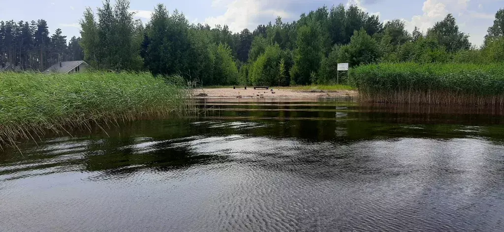 дом р-н Приозерский д Ягодное КП Сосновый берег территория, 36, Лососево фото 19