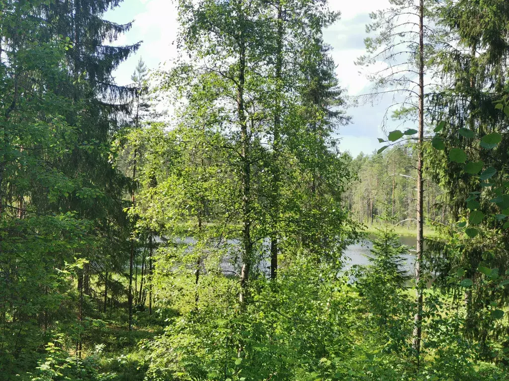 дом г Сортавала п Рускеала Хутор Лампи жилмассив, 2 фото 26