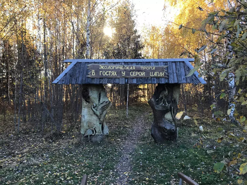 дом г Переславль-Залесский Лесная улица, 30 фото 10