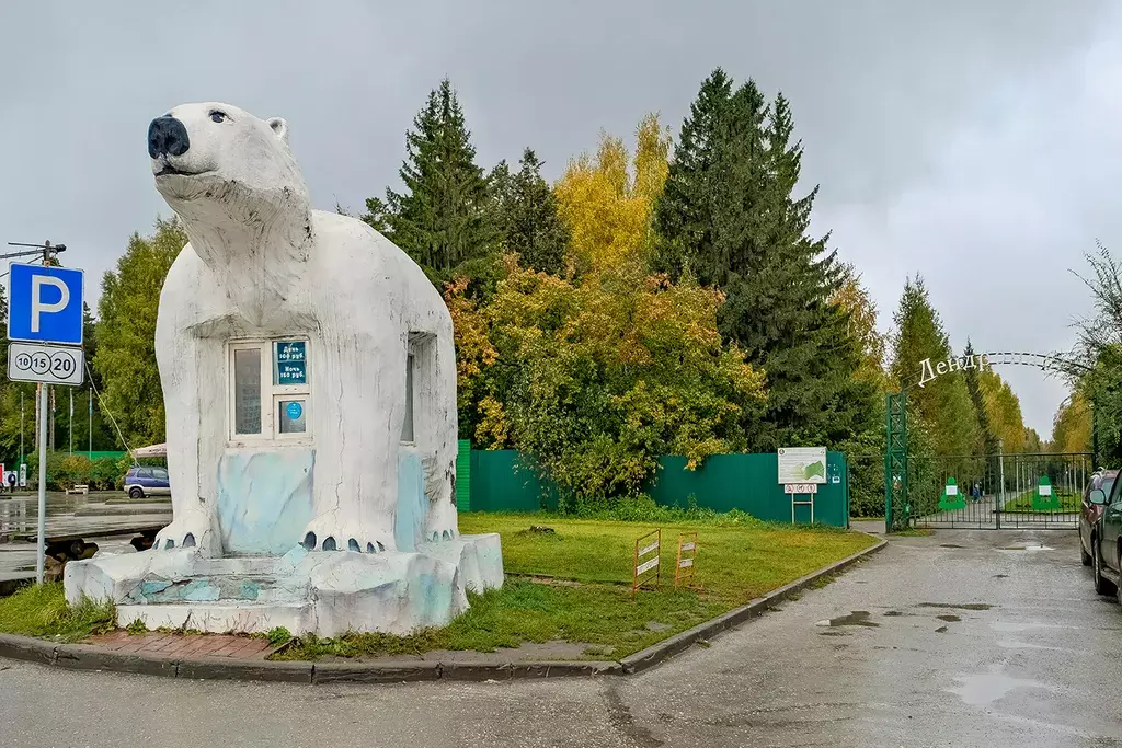 квартира г Новосибирск Гагаринская, Вокзальная магистраль, 5 фото 19