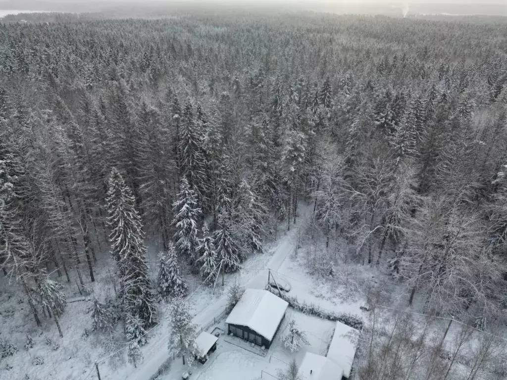 дом р-н Выборгский п Ильичево ул Хвойная 15 фото 24