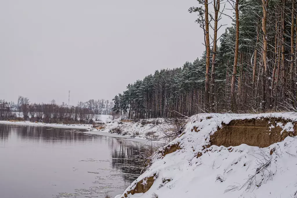 дом городской округ Луховицы п Белоомут б/н, Луховицы фото 25