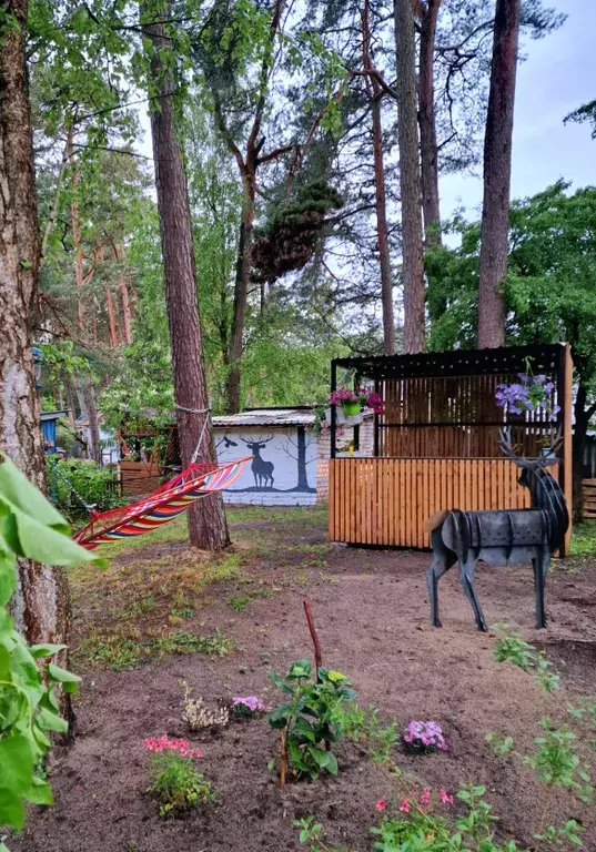 дом р-н Зеленоградский п Лесной ул Центральная 1 фото 19