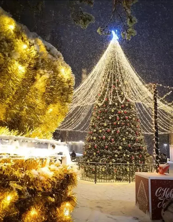 квартира р-н Зеленоградский г Зеленоградск ул Большая Окружная 1 фото 21