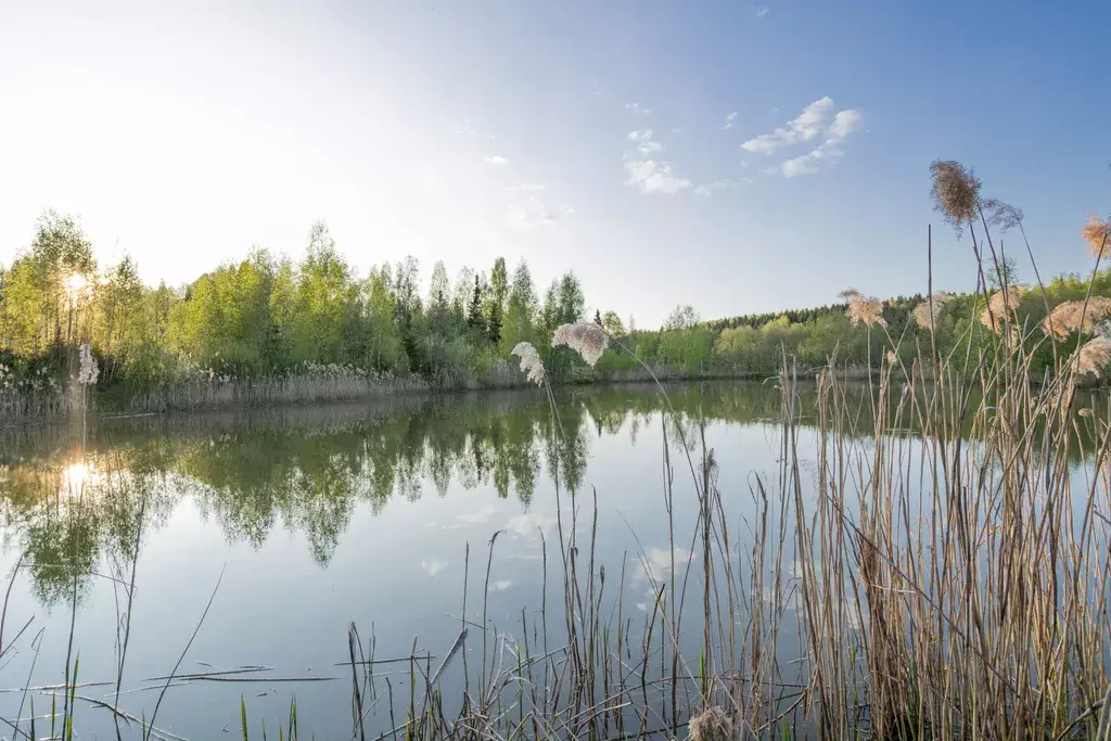 дом городской округ Дмитровский д Сычевки 12, Яхрома фото 5