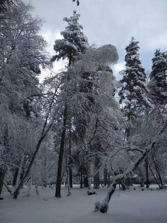 дом р-н Зеленчукский с Архыз Софийская Поляна территория, 1 фото 39