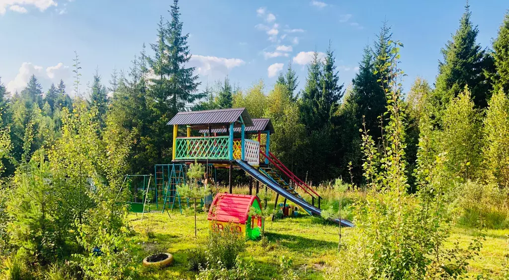 дом городской округ Солнечногорск д Покров ул Железнодорожная 1 фото 43