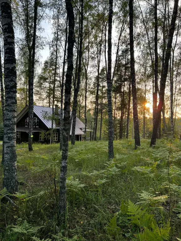 дом р-н Старицкий д Архангельское ул Новая 1 фото 29