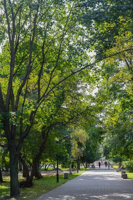 квартира г Петрозаводск ул Московская 6 фото 29