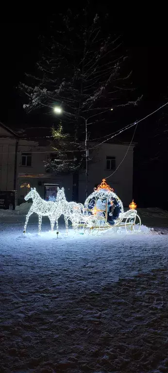 квартира р-н Мышкинский г Мышкин ул Никольская 9 фото 27