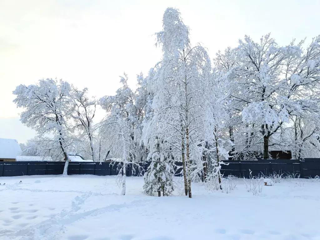 дом городской округ Орехово-Зуевский д Чистое 4В, Орехово-Зуево фото 29