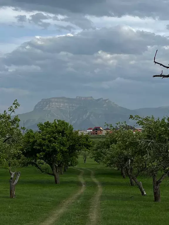 комната р-н Хунзахский с Хунзах ул Магомеда Амирханова 2а фото 10