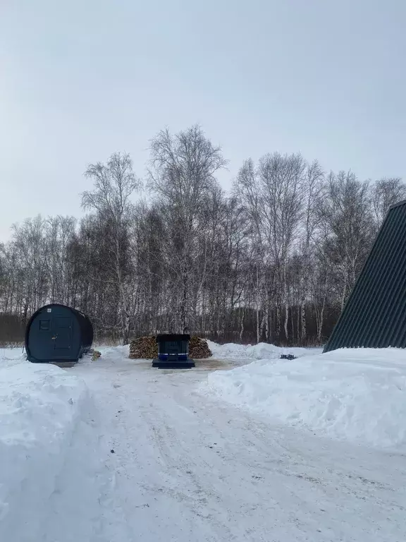 дом р-н Нижнетавдинский п Кунчур ДНТ Дачи Хюгге, Липовая улица, 33, Тюмень фото 28