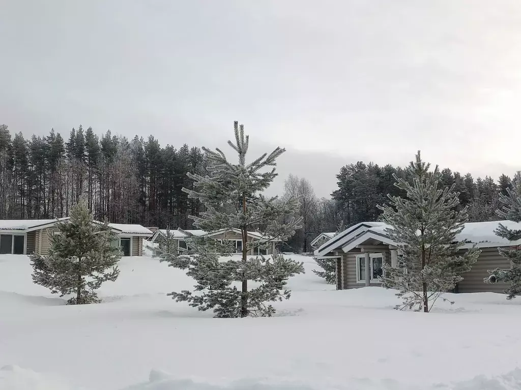 дом р-н Приозерский д Светлое ул Центральная 3 фото 9