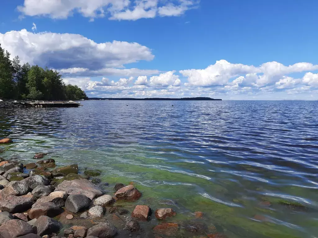 дом р-н Пряжинский п Эссойла ул Пляжная 1 Петрозаводск фото 25