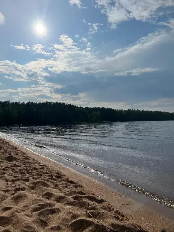 дом р-н Всеволожский д Озерки Луговая улица, 9 фото 17