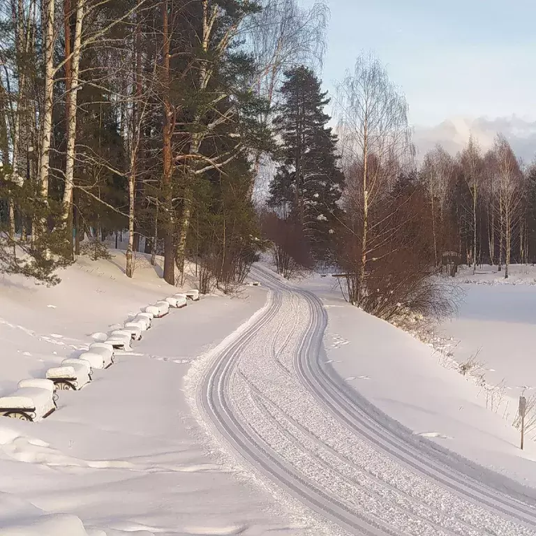 дом р-н Куменский пгт Нижнеивкино ул Сосновая 12 фото 21