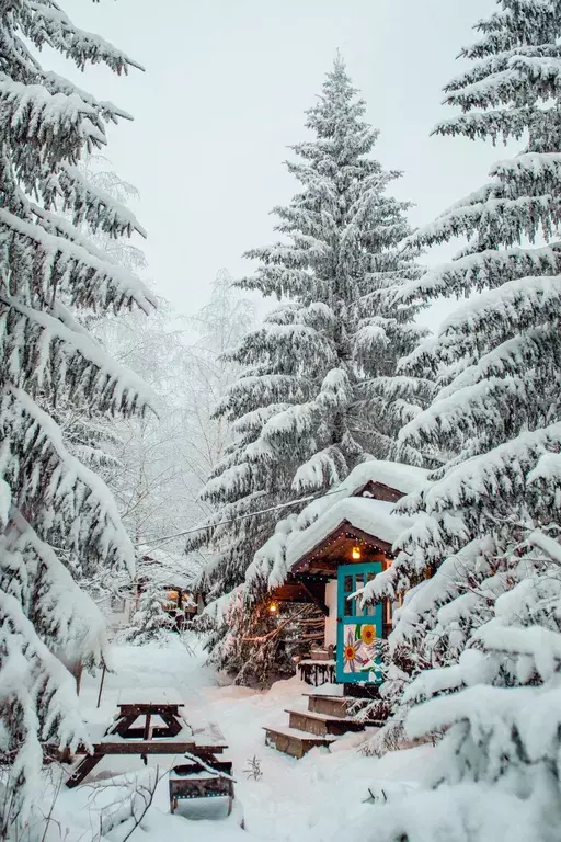 дом г Нижний Тагил п Уралец ул Горнолыжная 73 фото 2