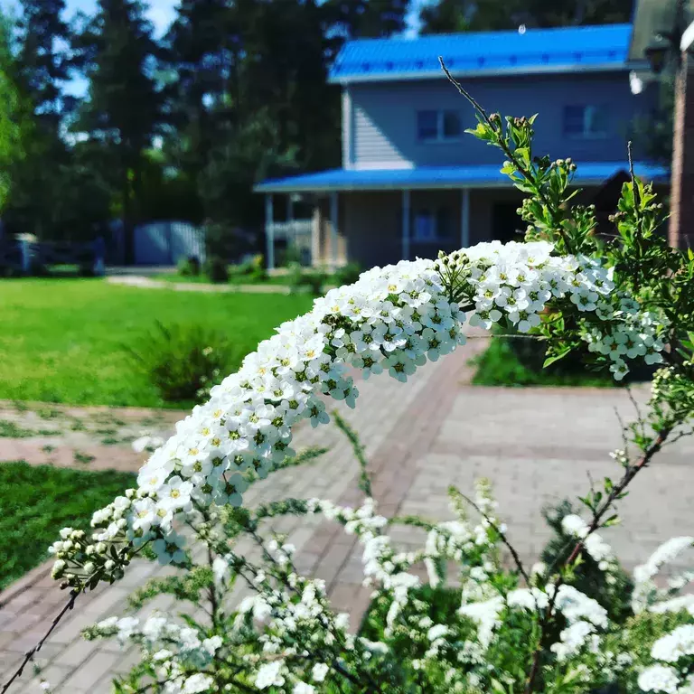 дом городской округ Орехово-Зуевский д Нажицы 1А, Орехово-Зуево фото 4