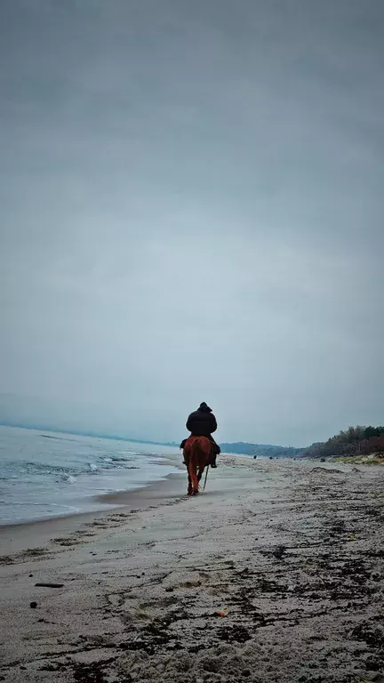 дом р-н Балтийский г Балтийск снт тер.Друг природы ул Дружбы 1 фото 32