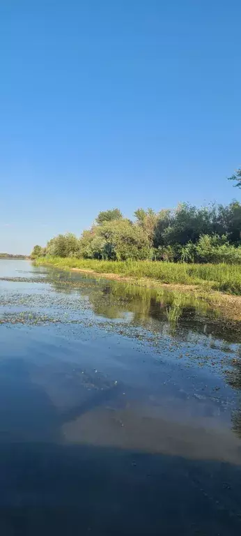 дом р-н Володарский с Раздор ул Советская 3б Астрахань фото 6