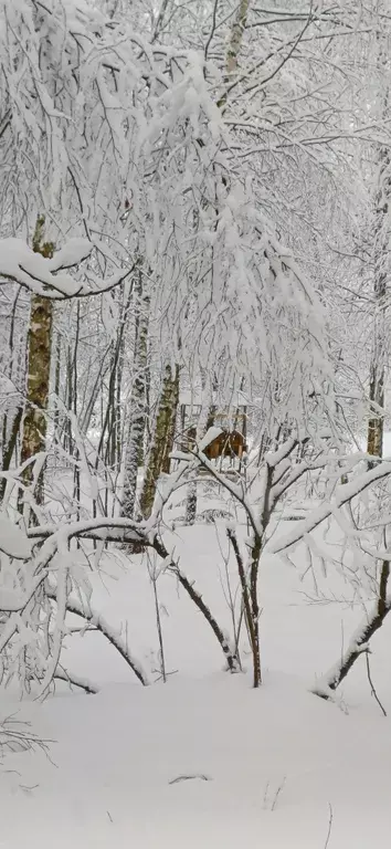 дом городской округ Богородский д Пашуково ул Горная 3п Воскресенское фото 24