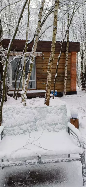 дом городской округ Богородский д Пашуково ул Горная 3п Воскресенское фото 29