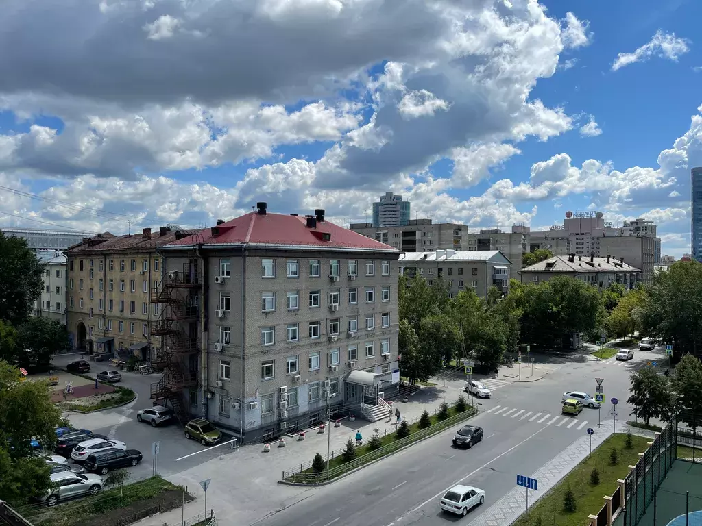 квартира г Новосибирск метро Площадь Гарина-Михайловского ул Дмитрия Шамшурина 29 фото 5