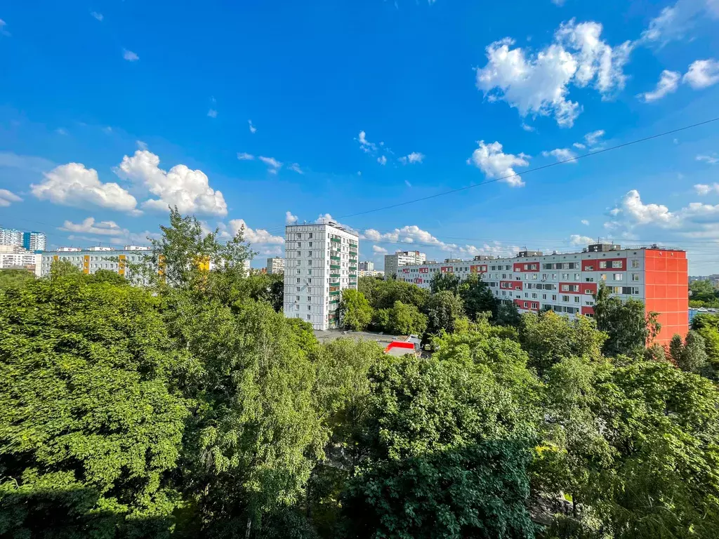 квартира г Москва метро Кузьминки ул Зеленодольская 12 Московская область фото 24