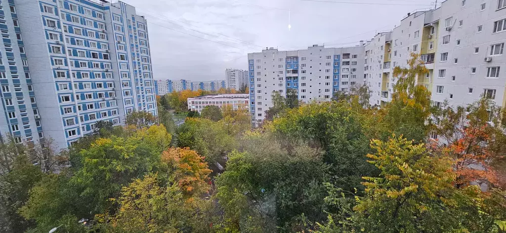 квартира г Москва метро Строгино ул Таллинская 20 к 3, Московская область фото 8