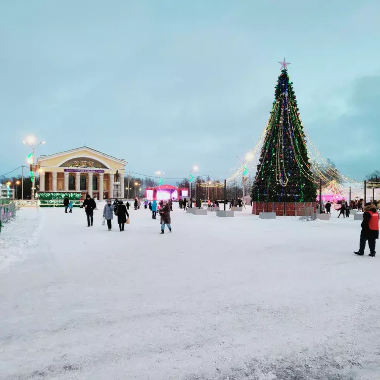 квартира г Петрозаводск пр-кт Ленина 4 фото 17