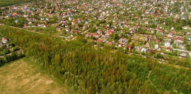 р-н Пушкинский Павлов Скай кп фото