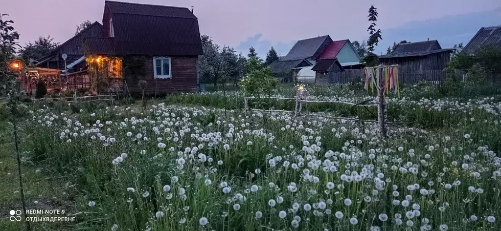 дом р-н Мышкинский д Мартыново ул Школьная 31 Углич фото 8