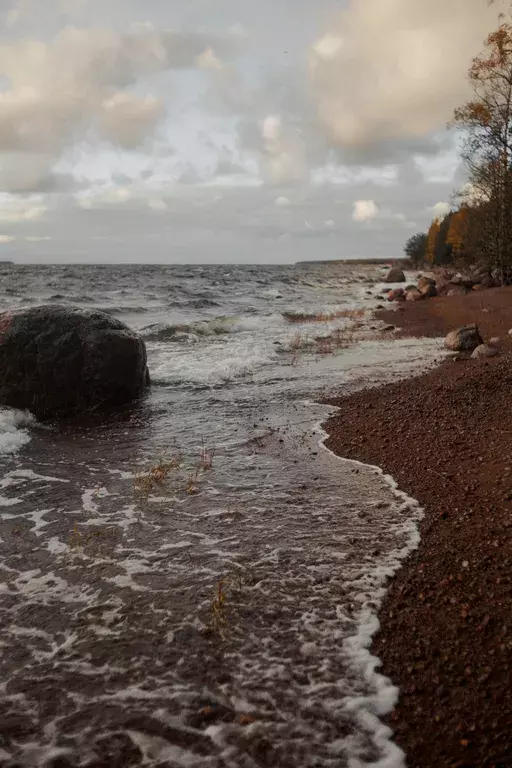 дом р-н Выборгский г Приморск ул Береговая 3 фото 24