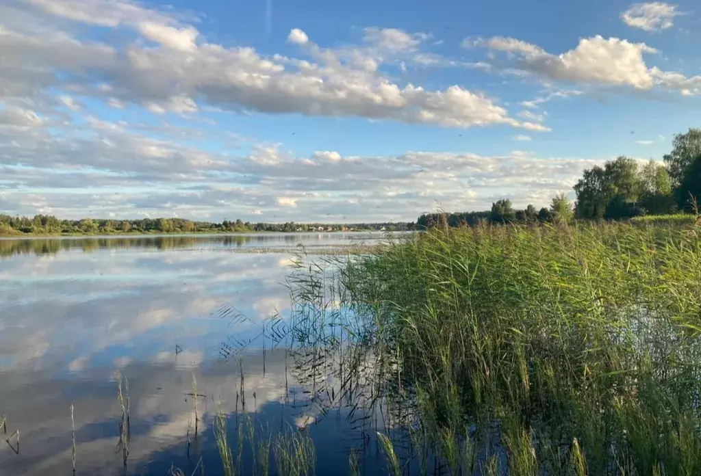 дом р-н Угличский д Красны 30, Углич фото 14