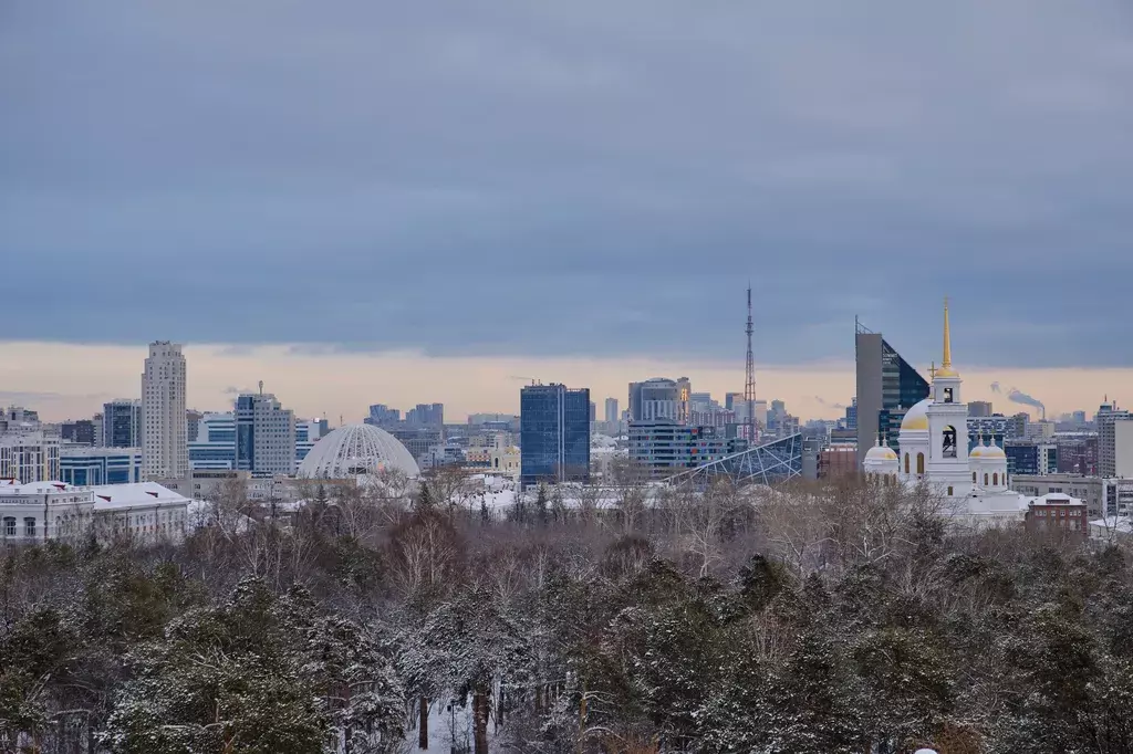 квартира г Екатеринбург ул Шейнкмана 111 Геологическая фото 29