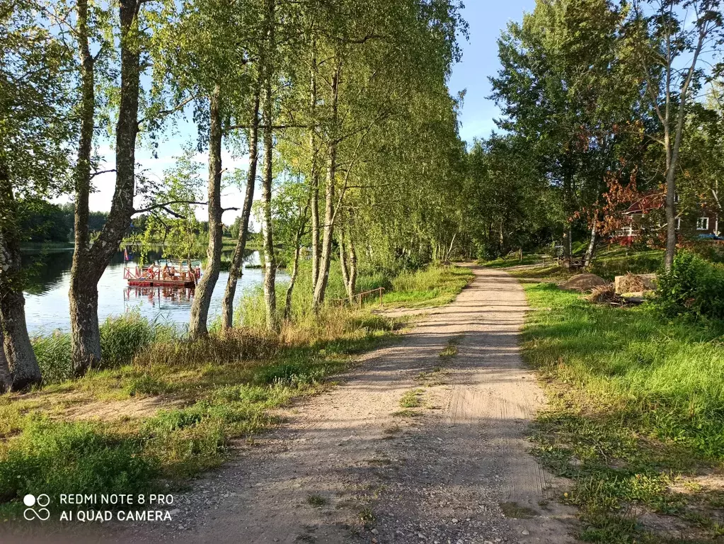 дом р-н Себежский д Белькино Белькинский съезд, 1 фото 4