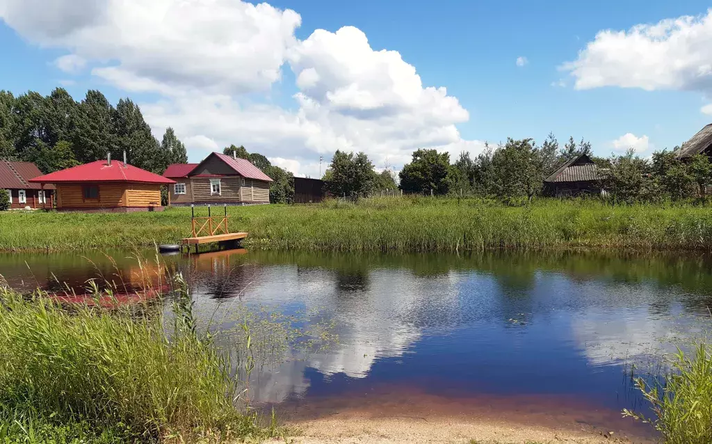 дом р-н Палкинский д Чернокуново 7, Изборск фото 1