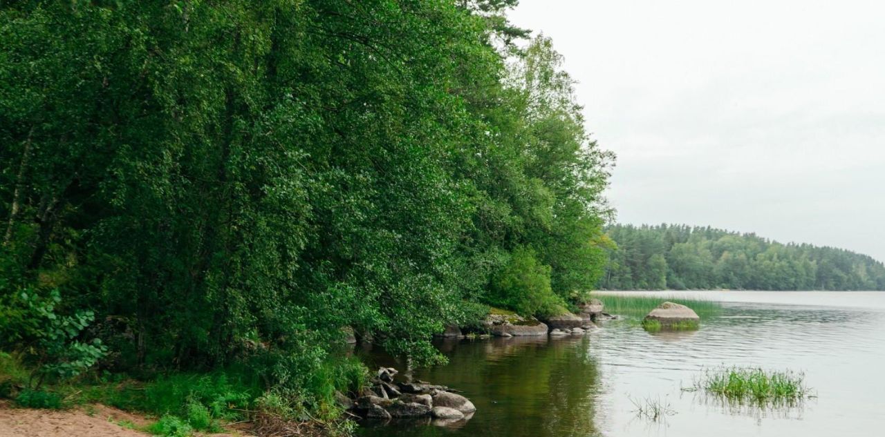 земля р-н Выборгский Приморское городское поселение, Сосновый пляж кп фото 27