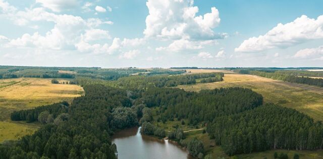 ул Центральная Бишнинское с/пос фото