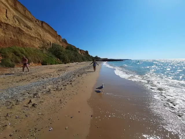 Андреевка, Усадебная улица, 38 фото