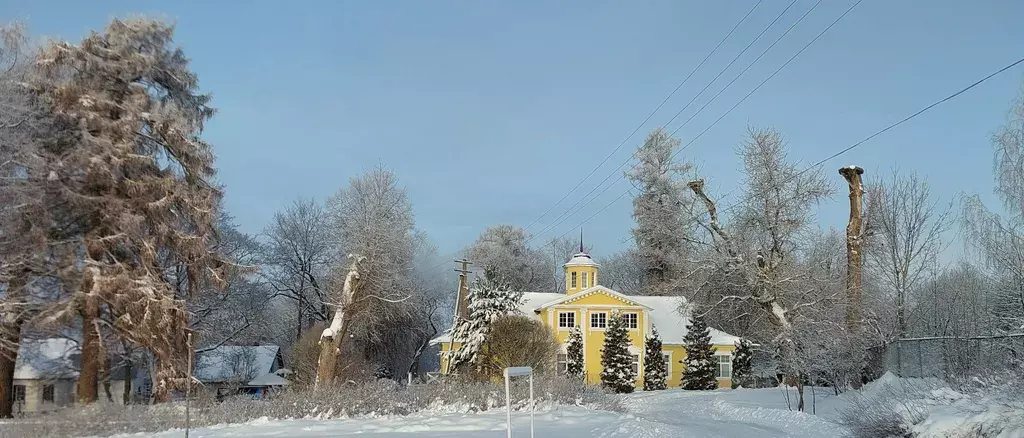 дом р-н Лужский д Мерево ул Школьная 15 Луга фото 26