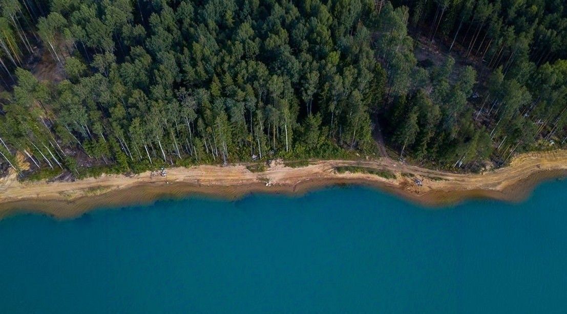 земля р-н Всеволожский Колтушское городское поселение, Прилесный кп, Ломоносовская фото 32