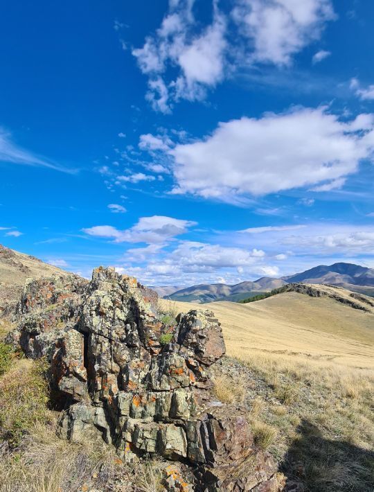 земля р-н Кош-Агачский с Теленгит-Сортогой фото 3